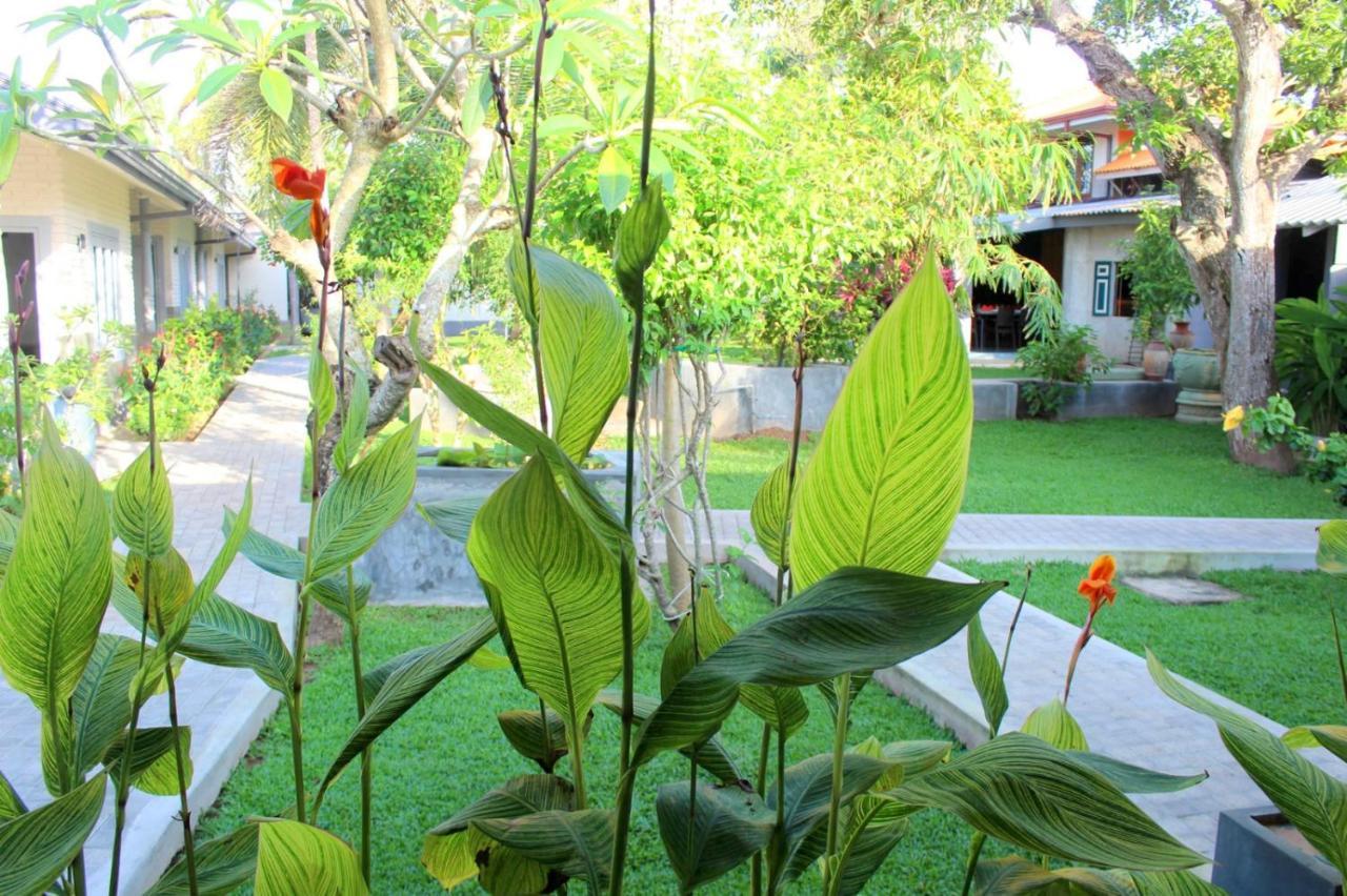 Morning Star Resorts Negombo Dış mekan fotoğraf
